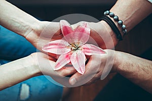 Closeup hands of man and woman holding pink red flower lily together, view from top above