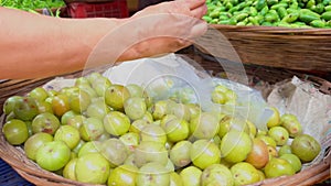 Closeup of hands selecting fresh indian gooseberry at a market with a focus on sustainable shopping and healthy food choices women