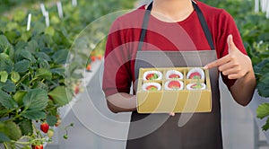 Closeup hands young asian woman holding box strawberry in farm at greenhouse.