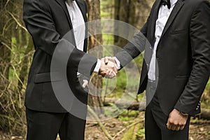 Closeup of handshake of business partners on the background of nature