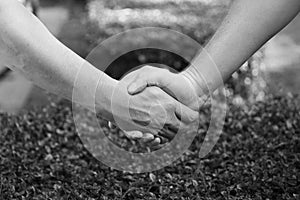 Closeup of handshake with nature background