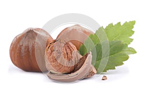 Closeup of hazelnuts, isolated on the white background