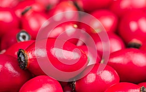 Closeup of healthy ripe red rosehip fruits pile in a blur background. Fructus cynosbati