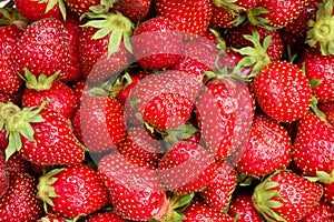 Closeup heap of ripe strawberrys. Food background