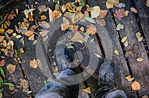 Closeup of hiking boots in autumn woods