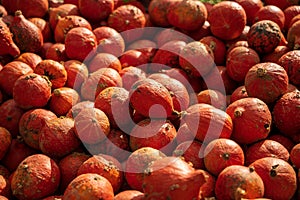 Closeup of Hokkaido pumpkins on sale at an outdoor farmers market in Germany
