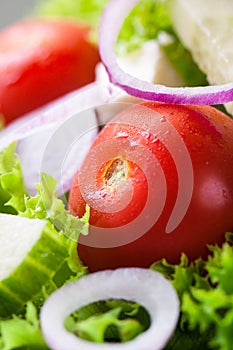 Closeup of homemade greek or summer salad with fresh vegetables in a plate