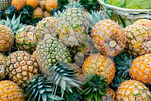 closeup of honey gold variety pineapple (Ananas comosus