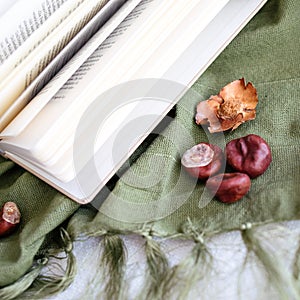 Closeup of horse chestnuts beside an open book on a green fabric - autumn concept background