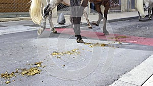 closeup of horse legs trotting with horse shit on the street