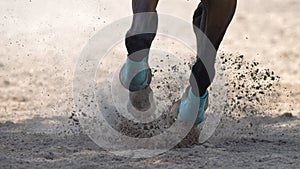 Closeup of Horse\'s Hooves Kicking Up Dirt