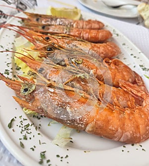 Closeup of a hot steamed shrimp dish, gambas a la plancha, served on a white plate photo