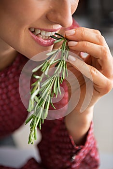 Closeup on housewife eating fresh rosmarinus photo