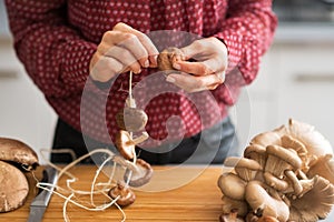 Closeup on housewife stringing mushrooms on string photo