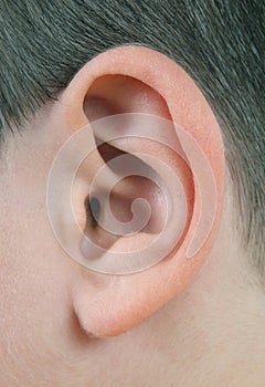 Closeup of human ear