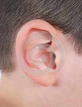 Closeup of human ear