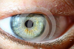Closeup of human eye and macro photography