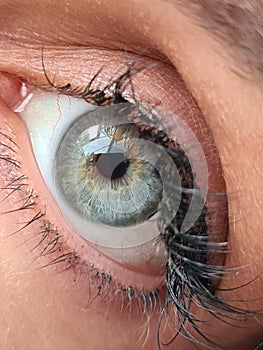 Closeup human eye opens iris of eye beautiful gray-green eyes healthy vision