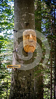 Closeup of human face mask on tree trunk in forest