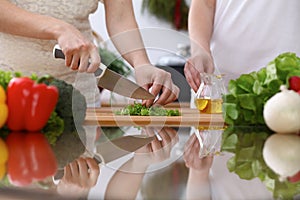 Closeup of human hands cooking in kitchen. Mother and daughter or two female cutting green salad or herbs. Healthy meal