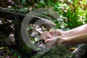 Closeup of human hands under the clean natural water source in the forest