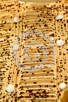 Closeup of Ice cream in the dishes in the fridge. Ice cream serving counter with many scoopable flavors.