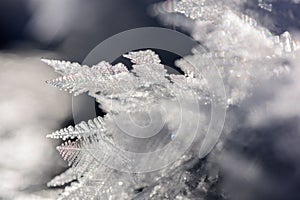 Closeup of ice crystals frozen in winter.