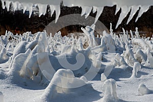 Closeup of icicles covering security fence on a sunny winter