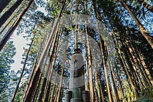 Closeup of the Iconic Shen Mu landmark in Alishan