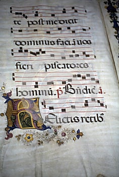 Closeup of an illuminated medieval manuscript on a  parchment with the historical Gregorian chant