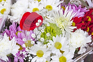 Closeup image of beautiful flowers wall background with amazing red and white roses