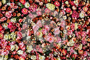 Closeup image of beautiful flowers wall background