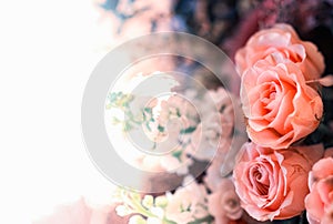 Closeup image of beautiful flowers wall background with amazing red and white roses Retro filter