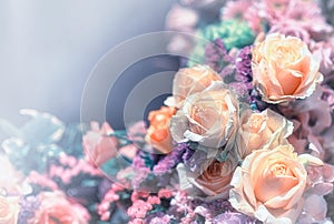 Closeup image of beautiful flowers wall background with amazing red and white roses Retro filter