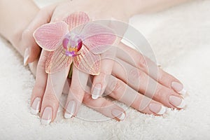 Closeup image of beautiful nails and woman fingers