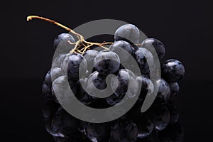Closeup image of black grapes on black background with reflection