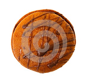 Closeup image of chocolate cookie isolated