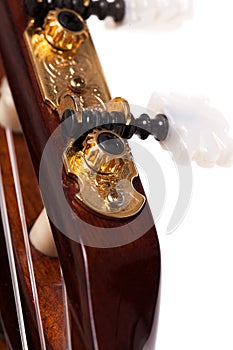 Closeup image of guitar fingerboard