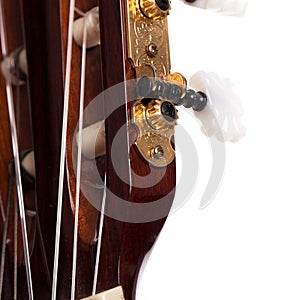 Closeup image of guitar fingerboard