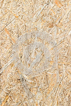 Closeup image of pressed wood texture. Background