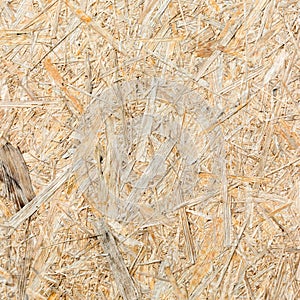 Closeup image of pressed wood texture. Background