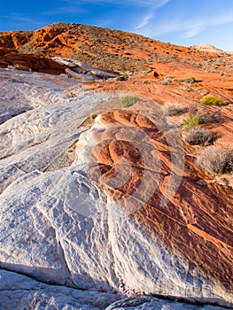 Closeup image of sandstone, Valley of Fire, Nevada, USA