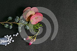 Closeup image of scattered homeopathic medicine consisting of the pills and a bottle with flower and green shrubs on black
