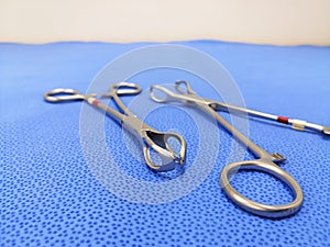 Lanes forceps