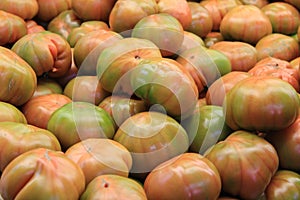 Closeup on immature organic tomatoes in the Food Market in Valencia, Spain