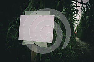 Closeup of information table in a spooky summer corn maze run