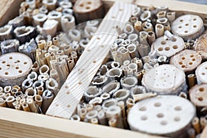 Closeup of an Insect hotel made of reed and drilled holes in wood of different diameter to suit all kind of insects