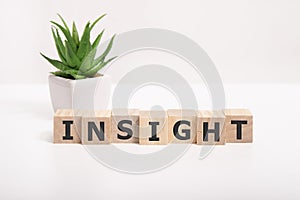 Closeup insight word on white background, intelligence and knowledge concept and idea.