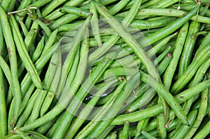 Closeup of isolated fresh green raw green bush beans phaseolus vulgaris