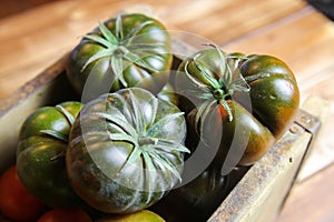 Closeup of isolated group dark black beef cabomar tomatoes in rustic wood box, brown wooden planks background